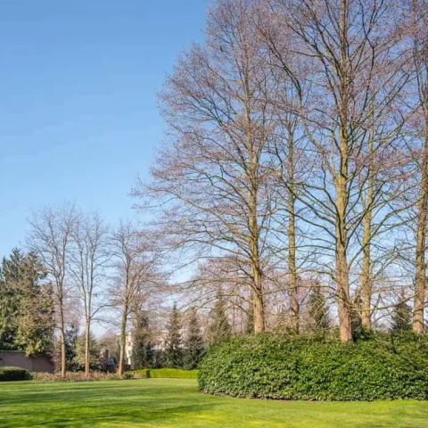 260922105529 07 ddb190322 068.webp - 20260922_Hole 15 van de Oosterhoutse Golf Club - De Oosterhoutse