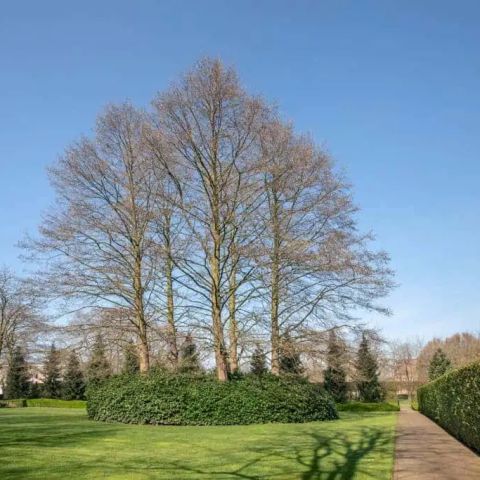 260922105529 10 ddb190322 075.webp - 20260922_Hole 15 van de Oosterhoutse Golf Club - De Oosterhoutse