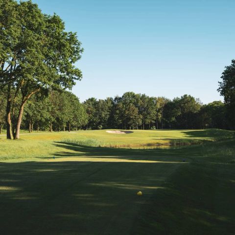 Eyecatcher 20260526 GolfClub De Oosterhoutse Fotografie 08 - Schitterende Nieuwe Foto’s van Onze Baan: Een Ode aan De Oosterhoutse - De Oosterhoutse